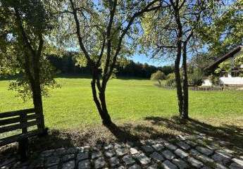 457699-Vorschaubild2