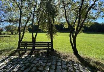 457699-Vorschaubild3