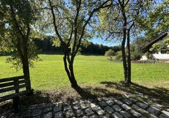 457700-Vorschaubild3