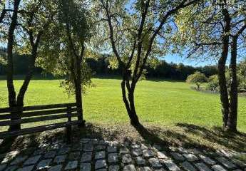 457700-Vorschaubild4