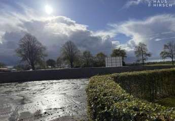 458453-Vorschaubild2