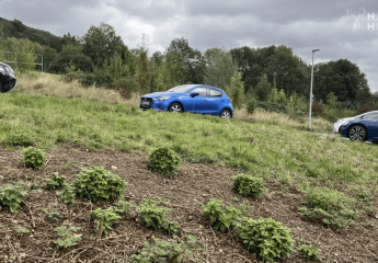 458458-Vorschaubild4