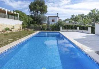 458796-Vorschaubild4