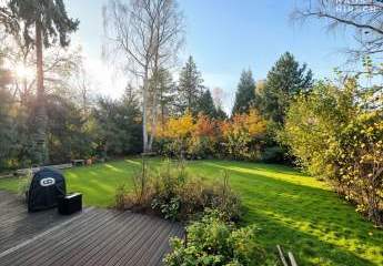 459021-Vorschaubild4