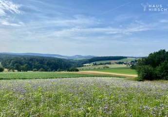 Lifestyle trifft Natur: Baugrundstück am Fuß des Ziegelbergs