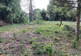 459690-Vorschaubild2