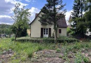 459691-Vorschaubild3