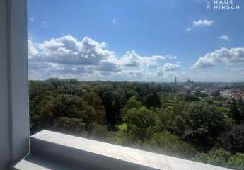 449553-Vorschaubild3