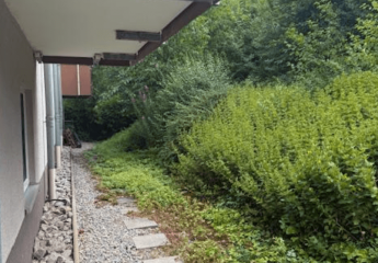 460487-Vorschaubild4