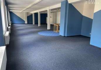 460482-Vorschaubild2