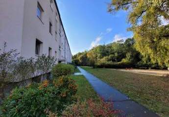 381308-Vorschaubild2