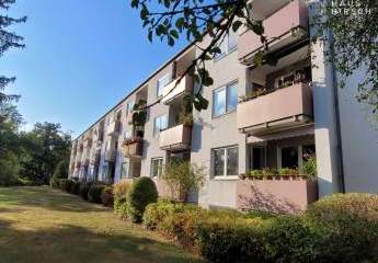 381308-Vorschaubild3