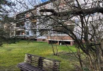 442684-Vorschaubild3