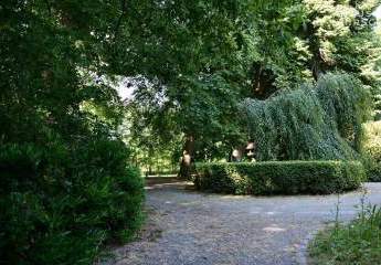 430577-Vorschaubild2