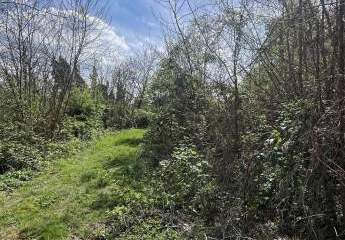 461904-Vorschaubild3