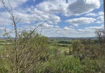 461904-Vorschaubild4