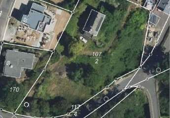 461905-Vorschaubild3