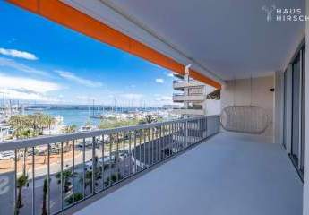 456595-Vorschaubild2