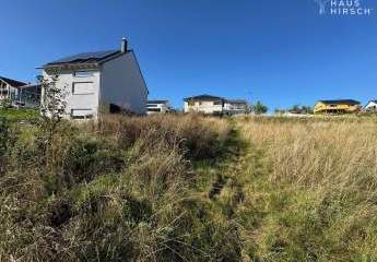 448400-Vorschaubild2