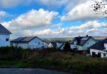 462669-Vorschaubild2