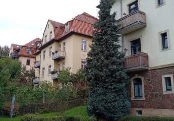 458005-Vorschaubild4