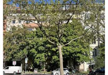 417006-Vorschaubild3