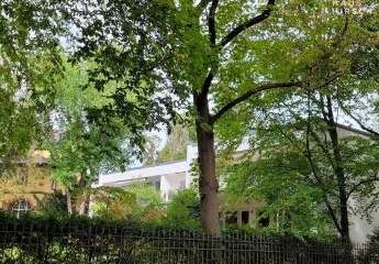 Traumwohnung in Grunewald: 2 Zimmer, Südwest-Balkon, Gartenparadies