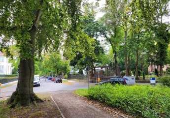 426331-Vorschaubild3