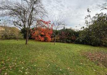 457129-Vorschaubild4