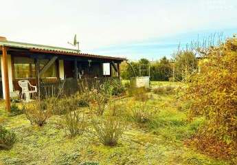 463212-Vorschaubild3