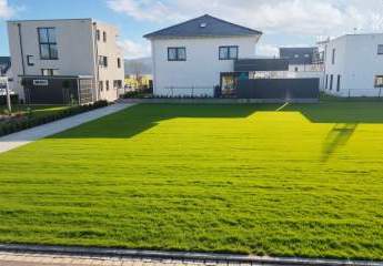 463379-Vorschaubild2