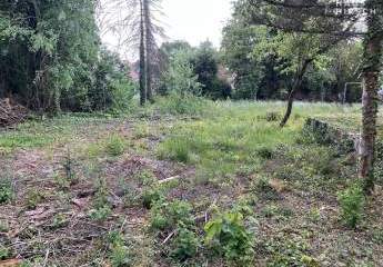 463626-Vorschaubild2