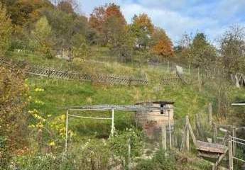 453261-Vorschaubild3