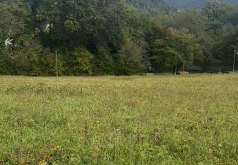 464191-Vorschaubild2