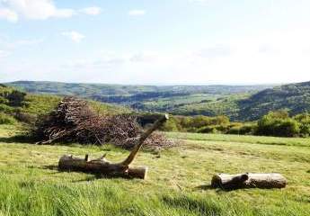 464242-Vorschaubild2