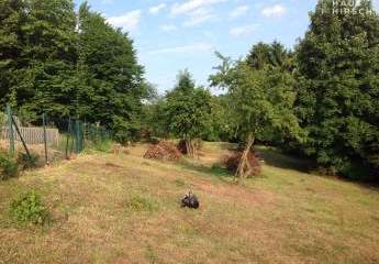 464242-Vorschaubild3