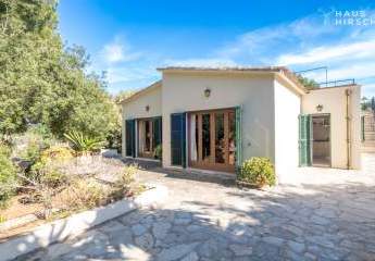 448541-Vorschaubild2