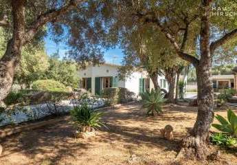 448541-Vorschaubild3