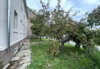 465532-Vorschaubild3