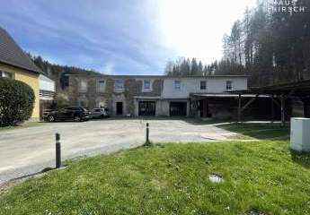 465540-Vorschaubild4