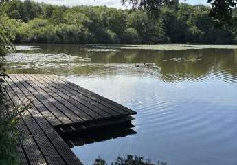 465707-Vorschaubild3