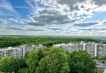 443996-Vorschaubild3