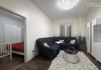 466156-Vorschaubild3