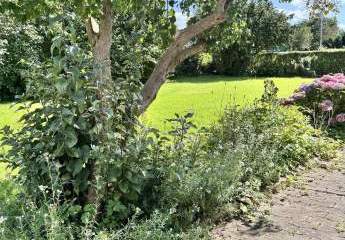 466380-Vorschaubild2