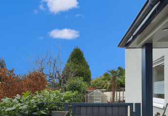 466424-Vorschaubild4