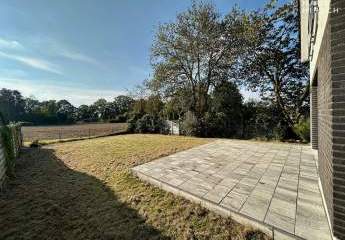 466885-Vorschaubild3