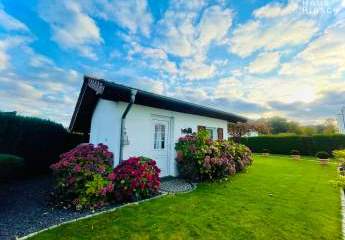 466904-Vorschaubild2