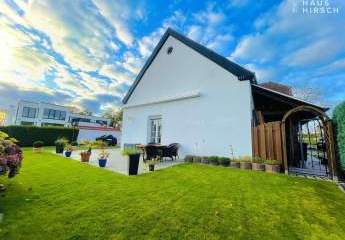 466904-Vorschaubild4