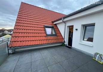 442403-Vorschaubild3