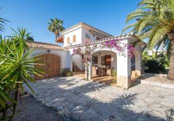 462365-Vorschaubild3